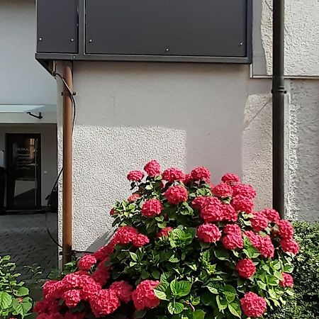 נוננהורן Ferienwohnung Im Fischerhaeusle מראה חיצוני תמונה
