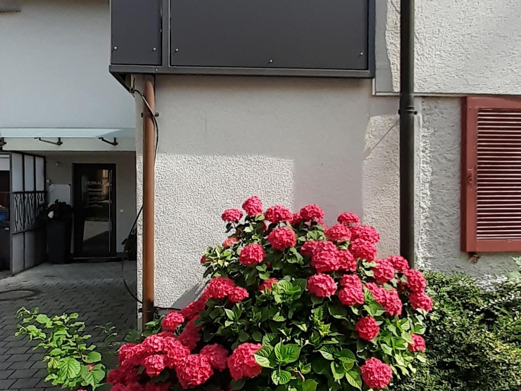 נוננהורן Ferienwohnung Im Fischerhaeusle מראה חיצוני תמונה